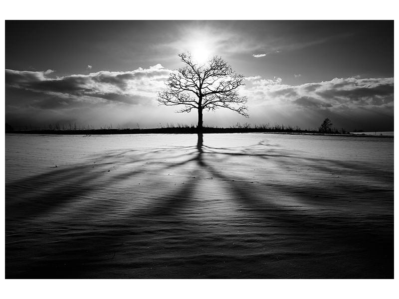 canvas-print-light-iv