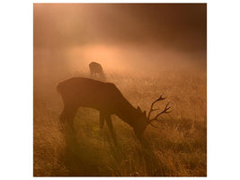 canvas-print-light-means-everything-x