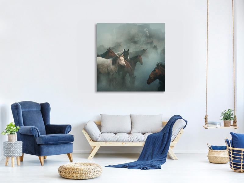 canvas-print-lost-horses-x
