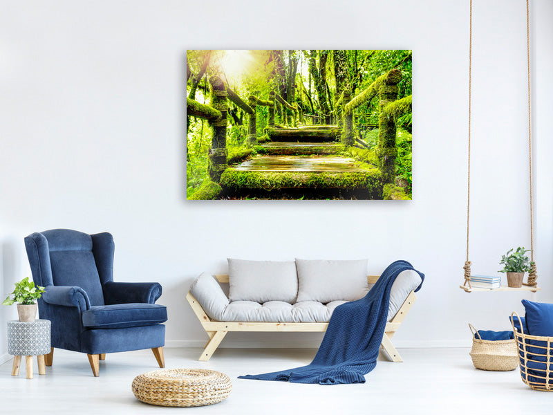 canvas-print-moss