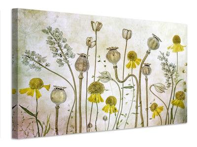 canvas-print-poppies-and-helenium-x