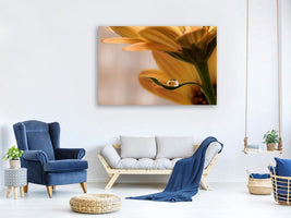 canvas-print-protected-x