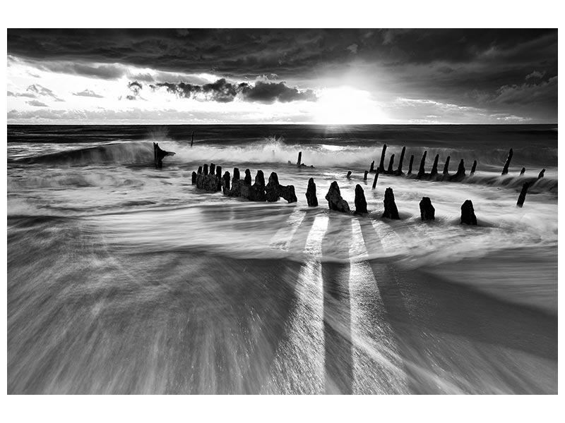 canvas-print-sunlight-x