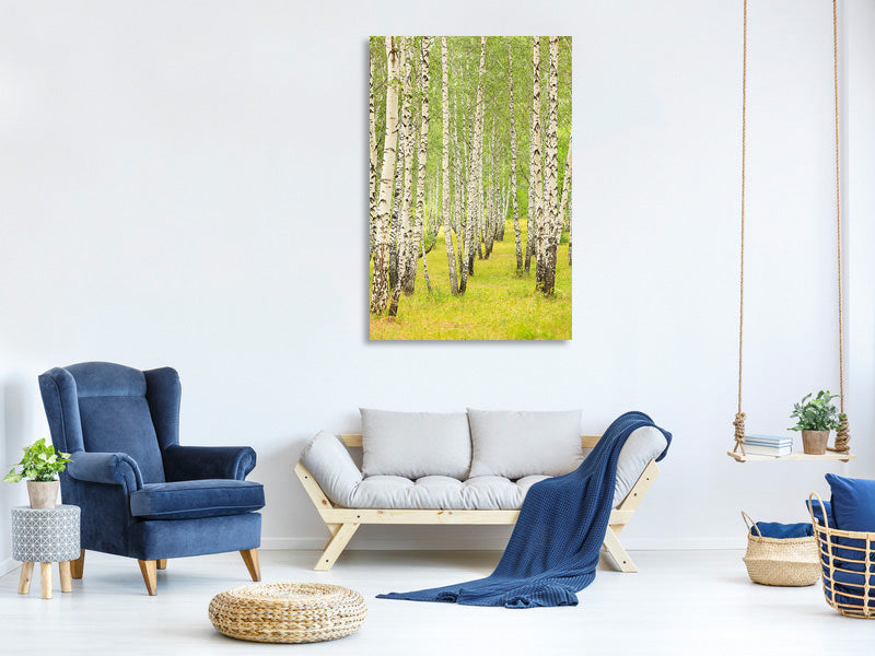 canvas-print-the-birch-forest-in-late-summer