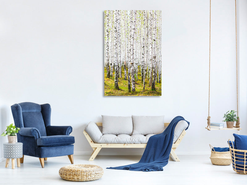 canvas-print-the-birch-forest-in-the-spring