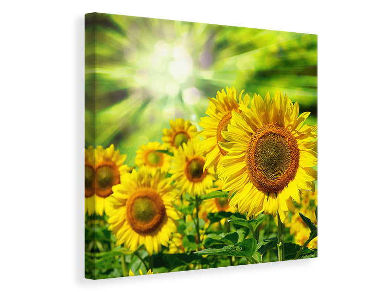 canvas-print-the-sun-and-the-flowers