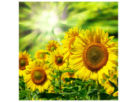 canvas-print-the-sun-and-the-flowers