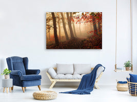 canvas-print-towards-the-light