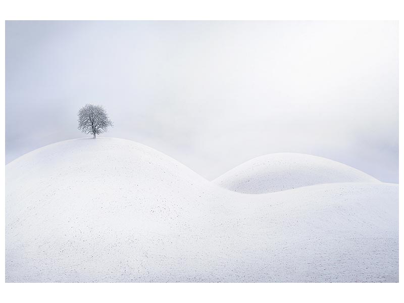 canvas-print-untitled-xas
