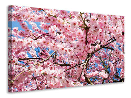 canvas-print-wonderful-japanese-cherry