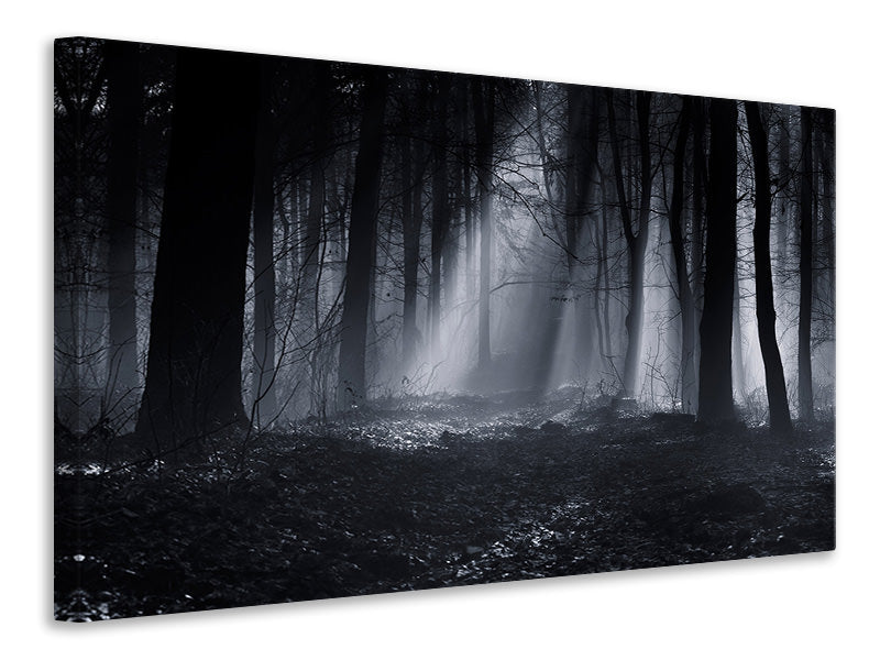 panoramic-3-piece-canvas-print-capela-forest