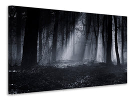 panoramic-canvas-print-capela-forest