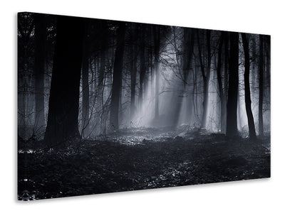 panoramic-canvas-print-capela-forest