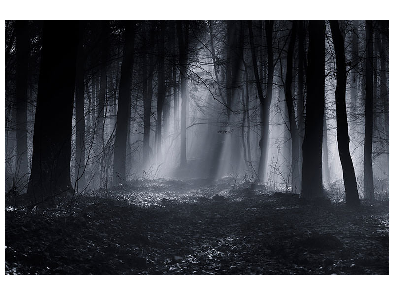 panoramic-3-piece-canvas-print-capela-forest