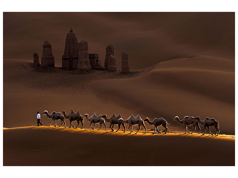modern-4-piece-canvas-print-castle-and-camels