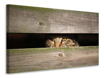 panoramic-3-piece-canvas-print-cat-in-hiding