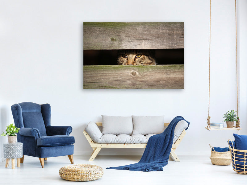3-piece-canvas-print-cat-in-hiding