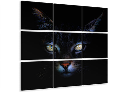 4-piece-canvas-print-cat