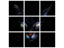 canvas-print-cat