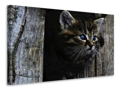 panoramic-3-piece-canvas-print-cats-child