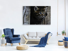 panoramic-3-piece-canvas-print-cats-child