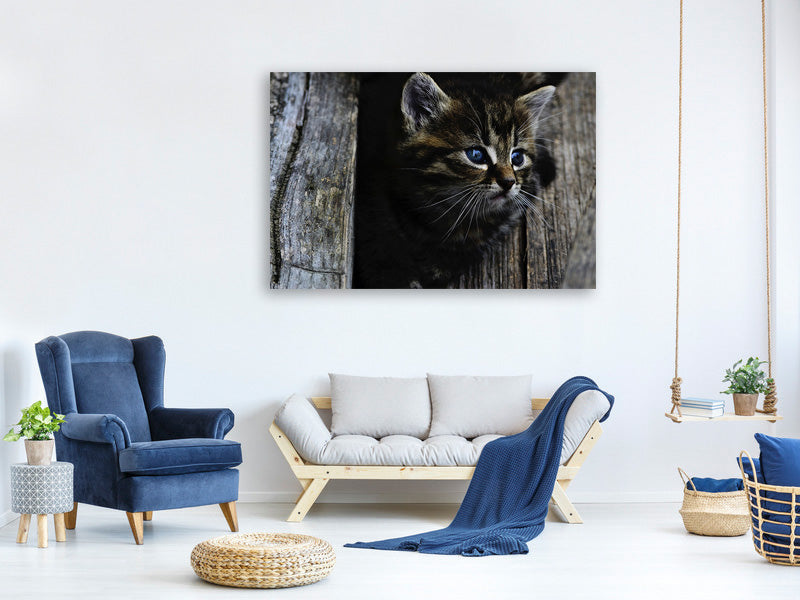 panoramic-canvas-print-cats-child