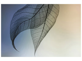 panoramic-3-piece-canvas-print-cavatina