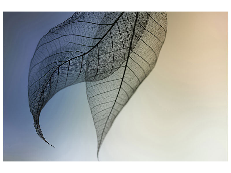 4-piece-canvas-print-cavatina
