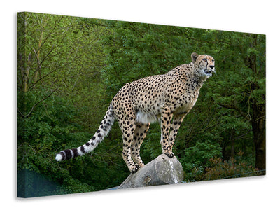 3-piece-canvas-print-cheetah-on-the-go