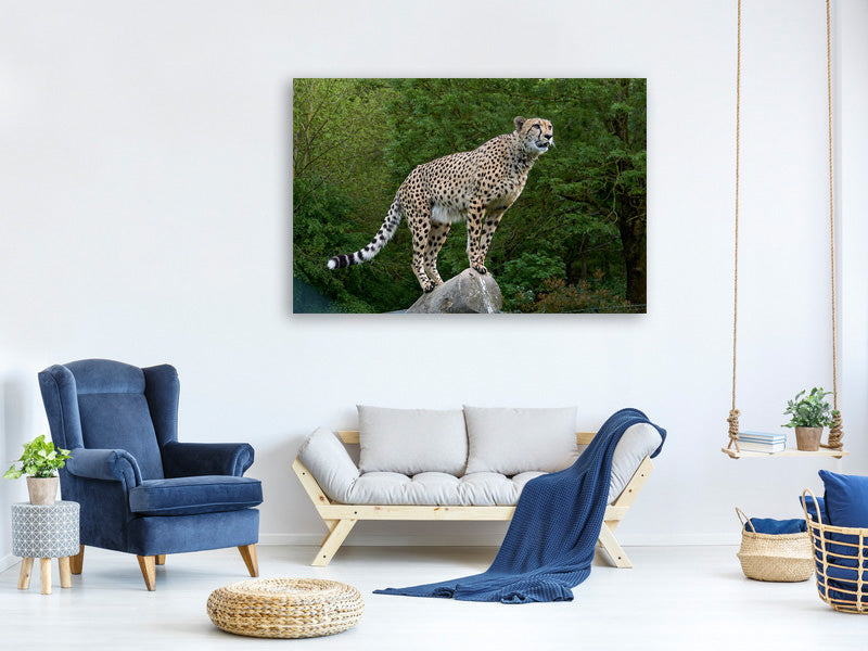 3-piece-canvas-print-cheetah-on-the-go