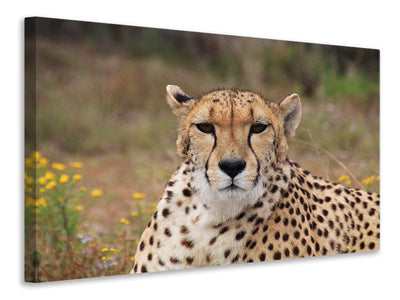 3-piece-canvas-print-cheetah-xl