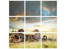 canvas-print-cheetahs