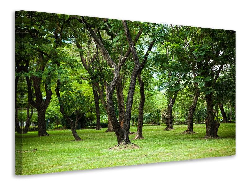5-piece-canvas-print-cherry-garden
