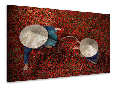 5-piece-canvas-print-chilli
