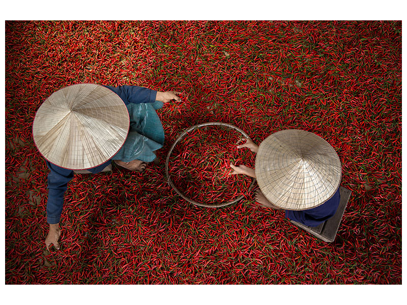 5-piece-canvas-print-chilli