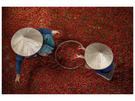 4-piece-canvas-print-chilli
