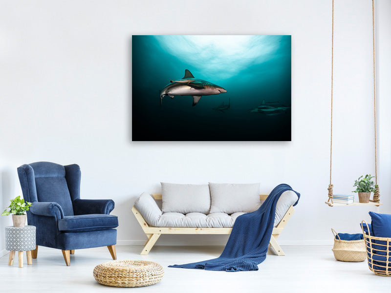 5-piece-canvas-print-circling