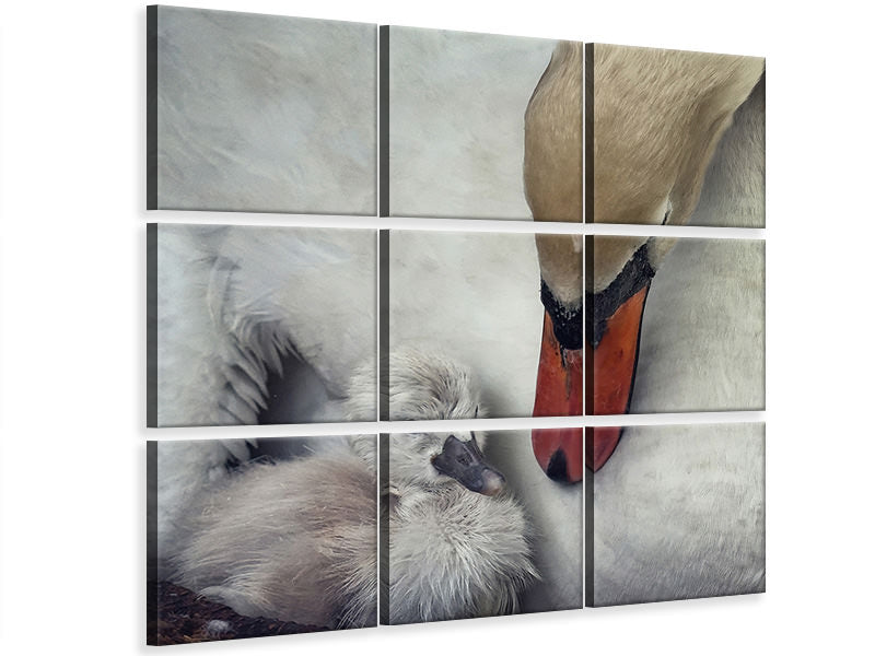 canvas-print-close-to-you