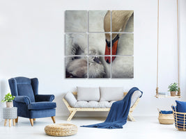 canvas-print-close-to-you