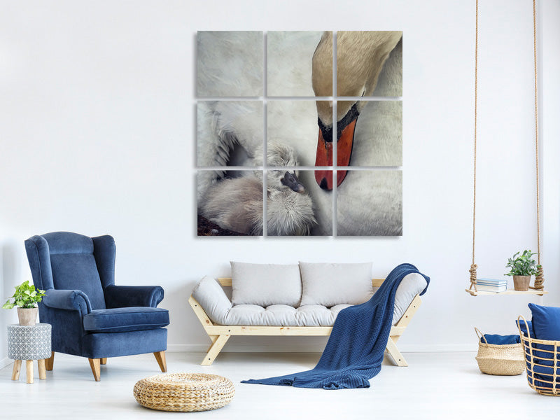 canvas-print-close-to-you