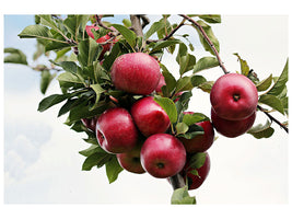 3-piece-canvas-print-close-up-apple-tree
