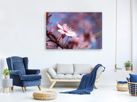 3-piece-canvas-print-close-up-cherry-blossom