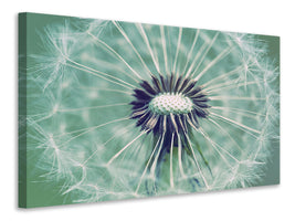5-piece-canvas-print-close-up-dandelion