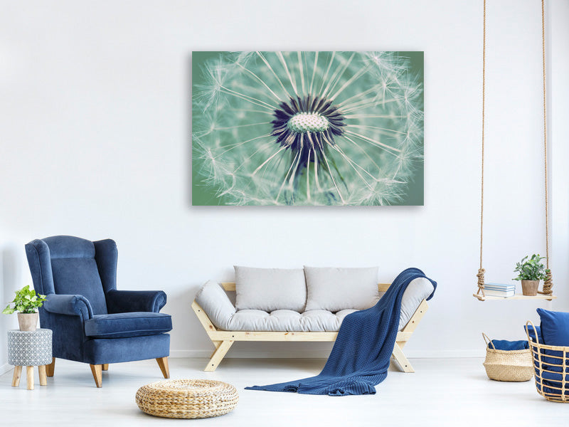 modern-4-piece-canvas-print-close-up-dandelion