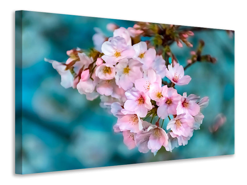 3-piece-canvas-print-close-up-flower