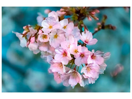 5-piece-canvas-print-close-up-flower