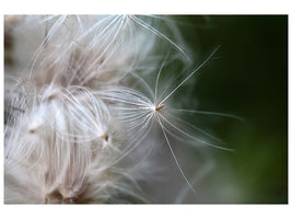 4-piece-canvas-print-close-up-flowers-fibers