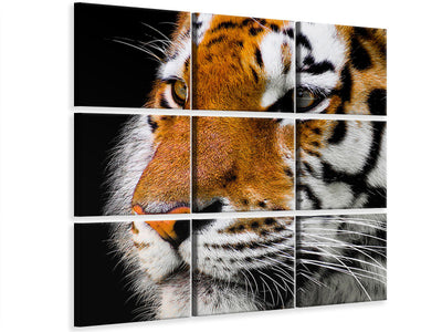 4-piece-canvas-print-close-up-tiger-head