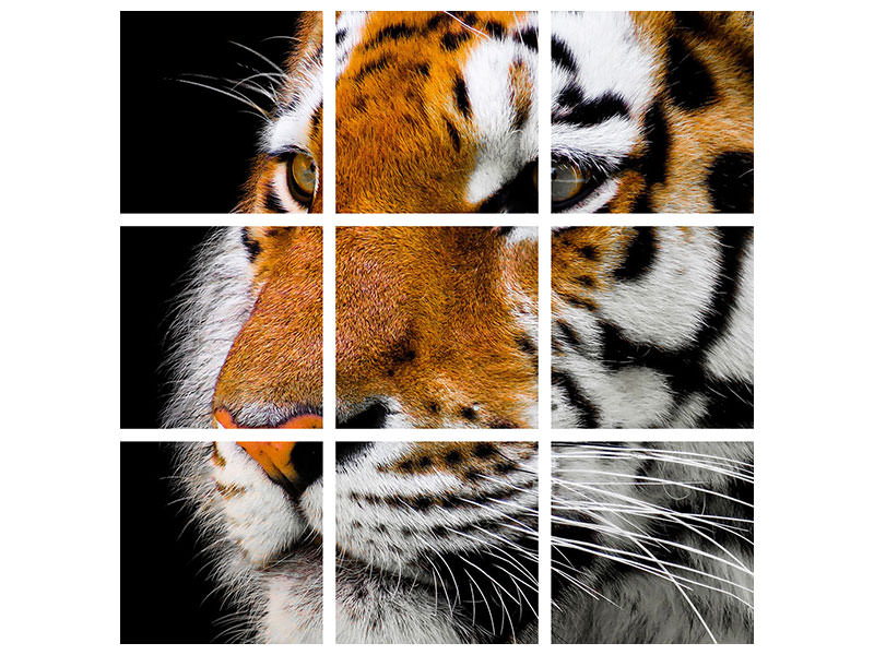 canvas-print-close-up-tiger-head