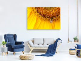 modern-3-piece-canvas-print-close-up-yellow-bud